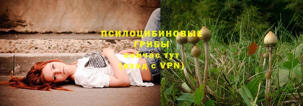 ПСИЛОЦИБИНОВЫЕ ГРИБЫ Алексеевка